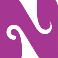 cropped-Logo-Simplificado-N-a-color.png